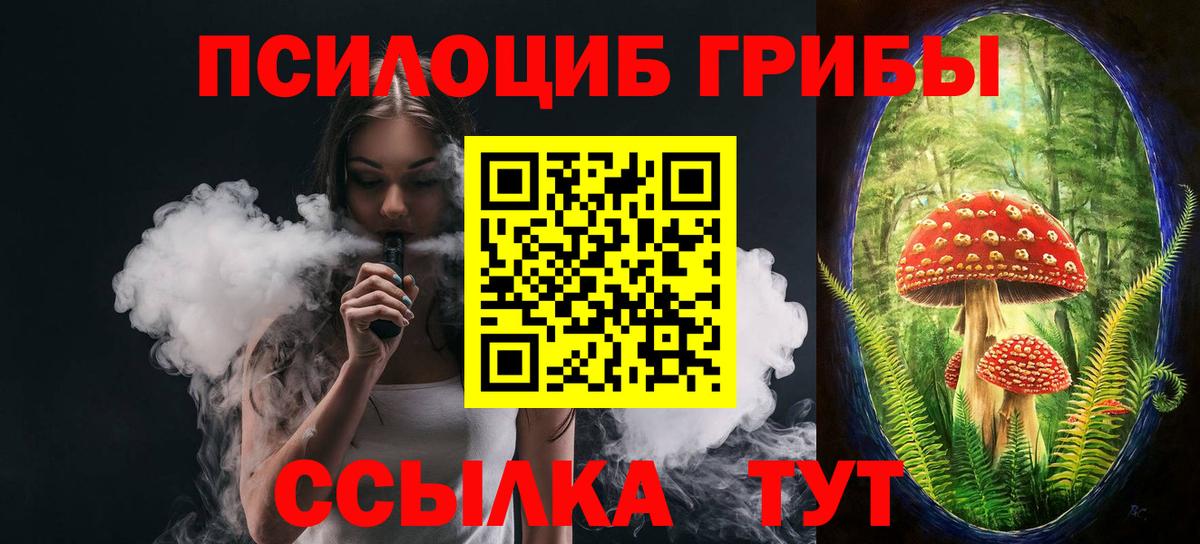 Псилоцибиновые грибы Psilocybe Бердск