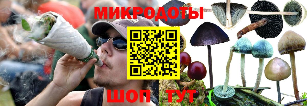 Псилоцибиновые грибы Psilocybine cubensis  Вход с VPN  Бердск 
